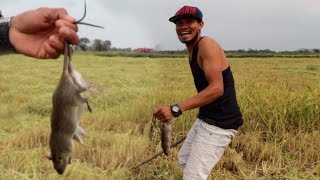 Life in a Cambodian Village TRADITIONAL Khmer Cooking