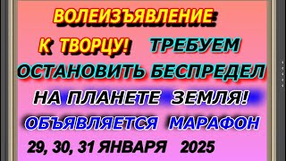 Волеизъявление к творцу! Требуем остановить беспредел на планете, марафон 29,30,31 января 2025