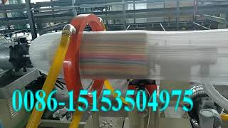 EPE Foam Sheet Machine Extruder Expandable Polyethylene Plastic Machinery Manufacturer Low Density