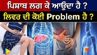 ਇਸ ਵੈਦ ਨੇ ਦੱਸਿਆ ਘਰੇਲੂ ਨੁਸਖ਼ਾ । Vaid Punit Kumar (Vaid) | Ayurveda Medicine