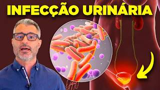 Infecção urinária: causas, diagnóstico e tratamento