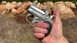 Bond Arms Roughneck 9mm