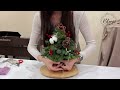 🎄 christmas tree workshop🎄 how to make a christmas tree 🎄｜diy christmas tree 圣诞树教程 크리스마스 트리 튜토리얼