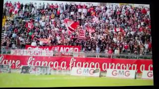 Ancona-spal Ale ancona ale