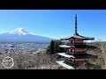 arakurayama sengen park – mt. fuji u0026 peace memorial pagoda shamisen × reggae instrumental 🎶 新倉山浅間公園