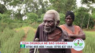 Wuuno mzee ow'emyaka 90 alima rosemary