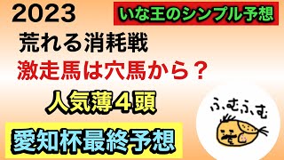 【愛知杯】これぞ穴中の穴。それ級の穴馬ピックアップ。荒れるタフな消耗戦。#愛知杯