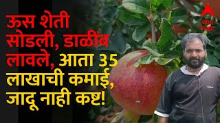 Pomegranate Farming : 145 रूपये किलो दर, दोन एकर डाळिंब शेतीतून शेतकरी मालामाल