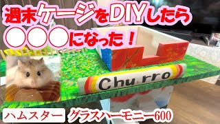 【ハムスターHamster】可愛いロボロフスキーハムスターのケージ（グラスハーモニー）を週末ＤＩＹして今までにないケージに作り変えました!!（釘、ネジは不使用）ハムスターの飼育環境改善におすすめです！