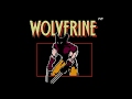 Wolverine NES -  Walkthrough (No death)