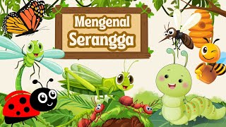 Mengenal nama serangga | nama hewan serangga bahasa indonesia