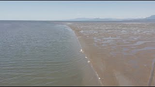 Coastal Restoration: The Sturgeon Bank Sediment Enhancement Pilot Project