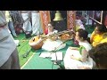 strings of bobbili veena