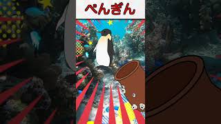 【子供向け 知育】水族館で海のいきものがいないいないばぁ！  赤ちゃんが喜ぶ、泣き止むおさかなアニメ #Shorts