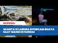 NGERI, Detik detik Wanita Tewas Diterkam Buaya Saat Mandi di Labura Sumut, Anak Histeris