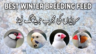 New Winter Breeding Feed | سردیوں کی مجرب بریڈنگ فیڈ  | Java, Finches, Dove & Budgies | Lodhi Birds