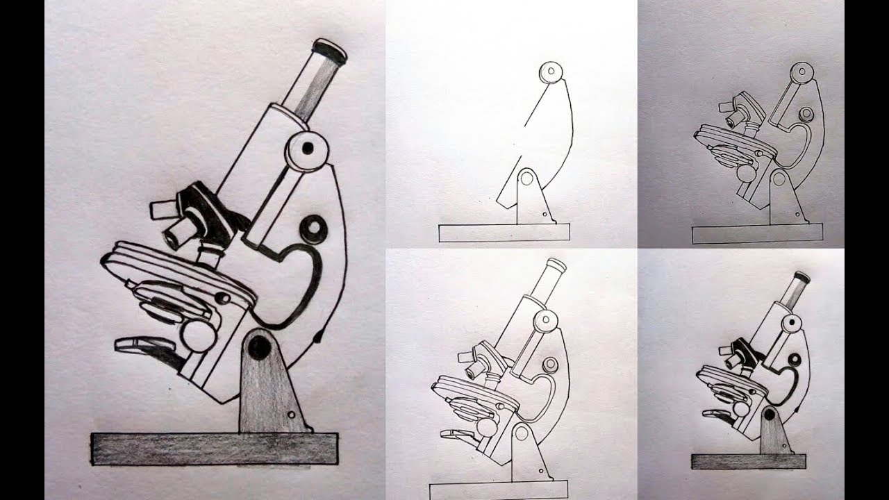 How To Draw Compound Microscope Step By Step // যৌগিক অনুবীক্ষন যন্ত্র ...