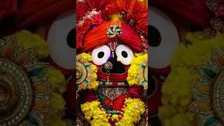 happy bahuda yatra🙏🙏🙏jay jagannaatha 🙏🙏🥰🥰🥰bahuda yatra special status odia.l