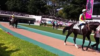 メイクデビュー東京☆2歳新馬☆ルヴォルグ