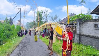 Tradisi Budaya Bali