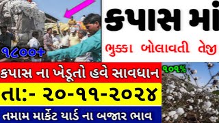 Kapas na bhav | 20-11-2024 | કપાસના ભાવ:2024 | Information about cotton crop price | Commodity Trend