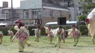 ネットでよさこい　湘南よさこい祭り2015