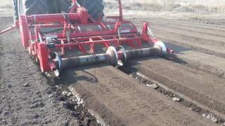 Grimme GF onion ridge forming