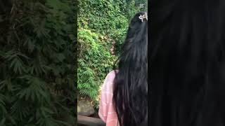 කව්ද මේ තැන දන්නේ? #everyone #foryou #love #viralvideo #nature #travel