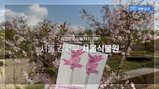 [직접방문 해피여행] 식물원 / 서울식물원 / 마곡 가볼만한 곳/ 서울 가볼만한 곳