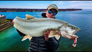 48hrs chasing EPIC king salmon and lake trout on Lake Ontario