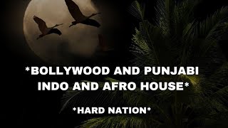 Bollywood And Punjabi Indo And Afro House | Latest Songs 2024 - Hard Nation