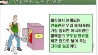 [서초구보건소]당뇨교실1강 - 당뇨에 대해서