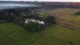 Tripura Village- Drone video - Kokborok