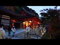 【世界遺産】京都清水寺秋夜紅葉2020 【world heritage】kyoto kiyomizu temple autumn night autumn leaves japan