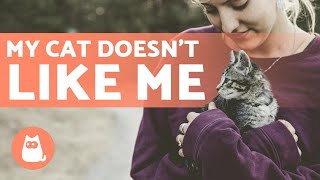 Why Doesn't My CAT LIKE ME? 🐱 💡 Reasons and Solutions!