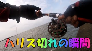 クロダイ落とし込み関西2020　NO.１０－１　Japan black sea bream fishing