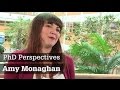 PhD Perspective - Amy Monaghan