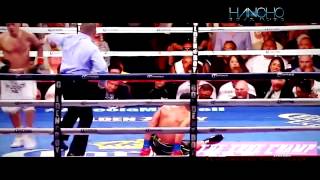 Top 20 Best Knockouts of 2013 2014 HD