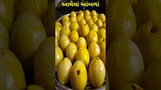 Amla athvani rit | આંબળા | Gooseberry recipes