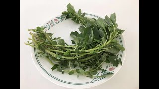 清炒野生苋菜 Stir-fried wild amaranth