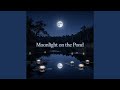 Moonlight on the Pond