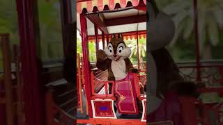 【TDL】ウエスタンリバー鉄道入線！！〜チップとデール〜#ディズニー #ディズニーランド #shorts #tdr