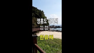 한유채 - 영흥도 아가씨 (세로 뮤직비디오 mv)