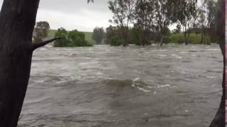 Hume dam