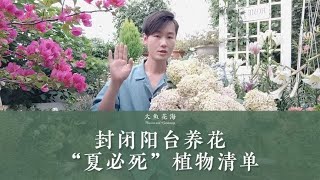 封闭阳台养花“夏必死”清单，这5种植物再喜欢也不要买！