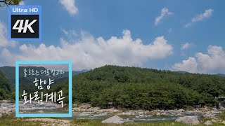 [ 4K ] 대리만족 함양여행ㅣ물 흐르는대로 살고파, 함양화림계곡ㅣ위대한유산 100경 15