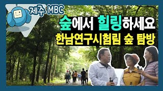 숲에서 힐링하세요 - 한남연구시험림 숲 탐방 (와랑와랑  TV)