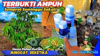 TERBUKTI AMPUH‼️ SEMPROT PAKAI INI SEMINGGU SEKALI HAMA MINGGAT SEKETIKA.