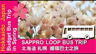 HOKKAIDO X / SAMPLE ITINERARY/ SAPPORO LOOP BUS in SPRING / 北海道X / 行程様本 / 札幌循環巴士 -  賞櫻花之旅