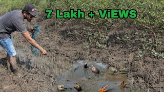 खाडीमधल्या चिंबोऱ्या (खेकडे) पकडले मोठे मोठे Crab catching and Cooking on fire